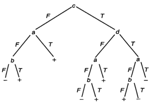 Perceptron Tree ZKP Process